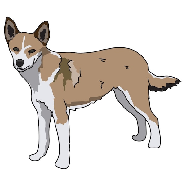 Signmission Norwegian Lundehund Dog Decal, Dog Lover Decor Vinyl Sticker D-12-Norwegian Lundehund - main